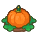 citrouille animal crossing